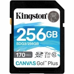 KINGSTON SDG3/256GB